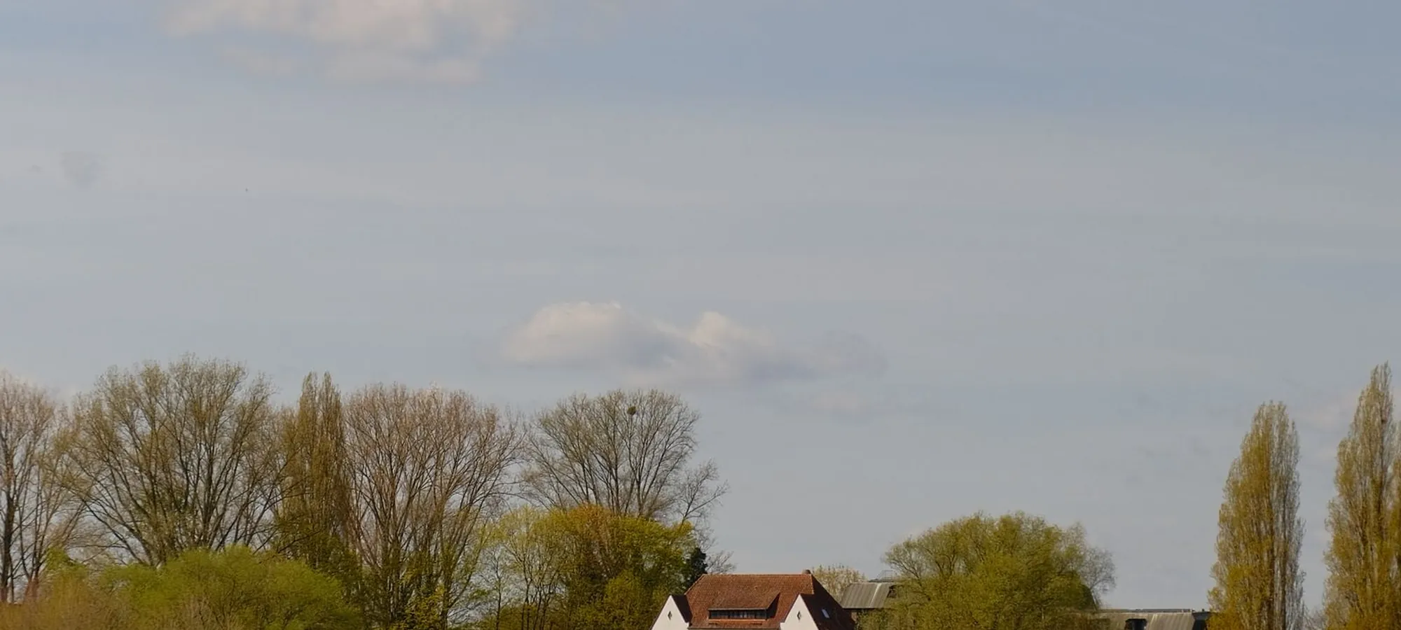 Rheinufer bei Monheim am Rhein mit Baumbestand am Wasser